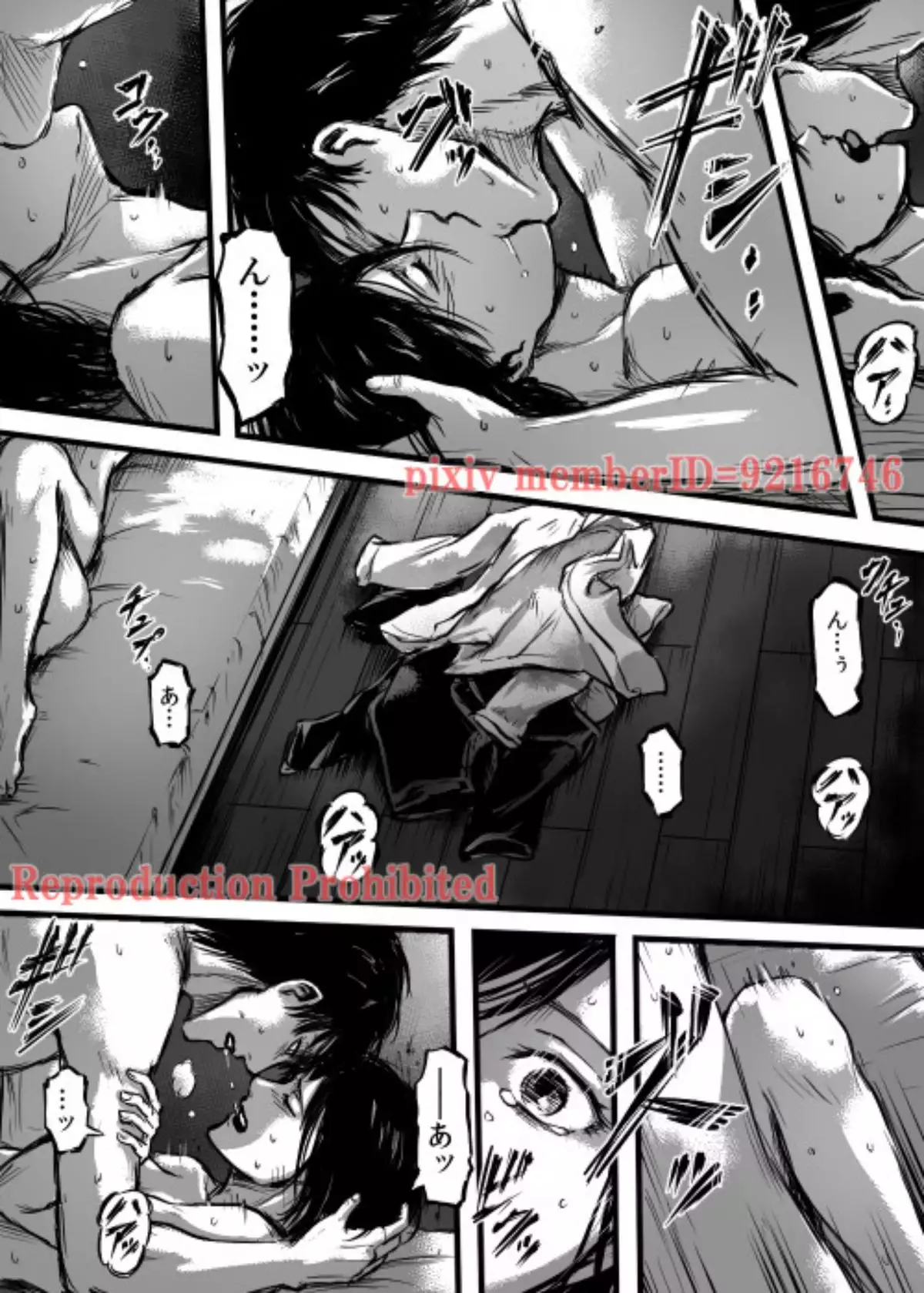 211] 複製禁止 reproduction prohibited [shingeki no kyojin] - Hentai.name