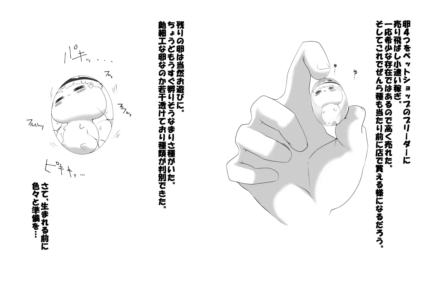 zennra ふるすろっとるぜんら