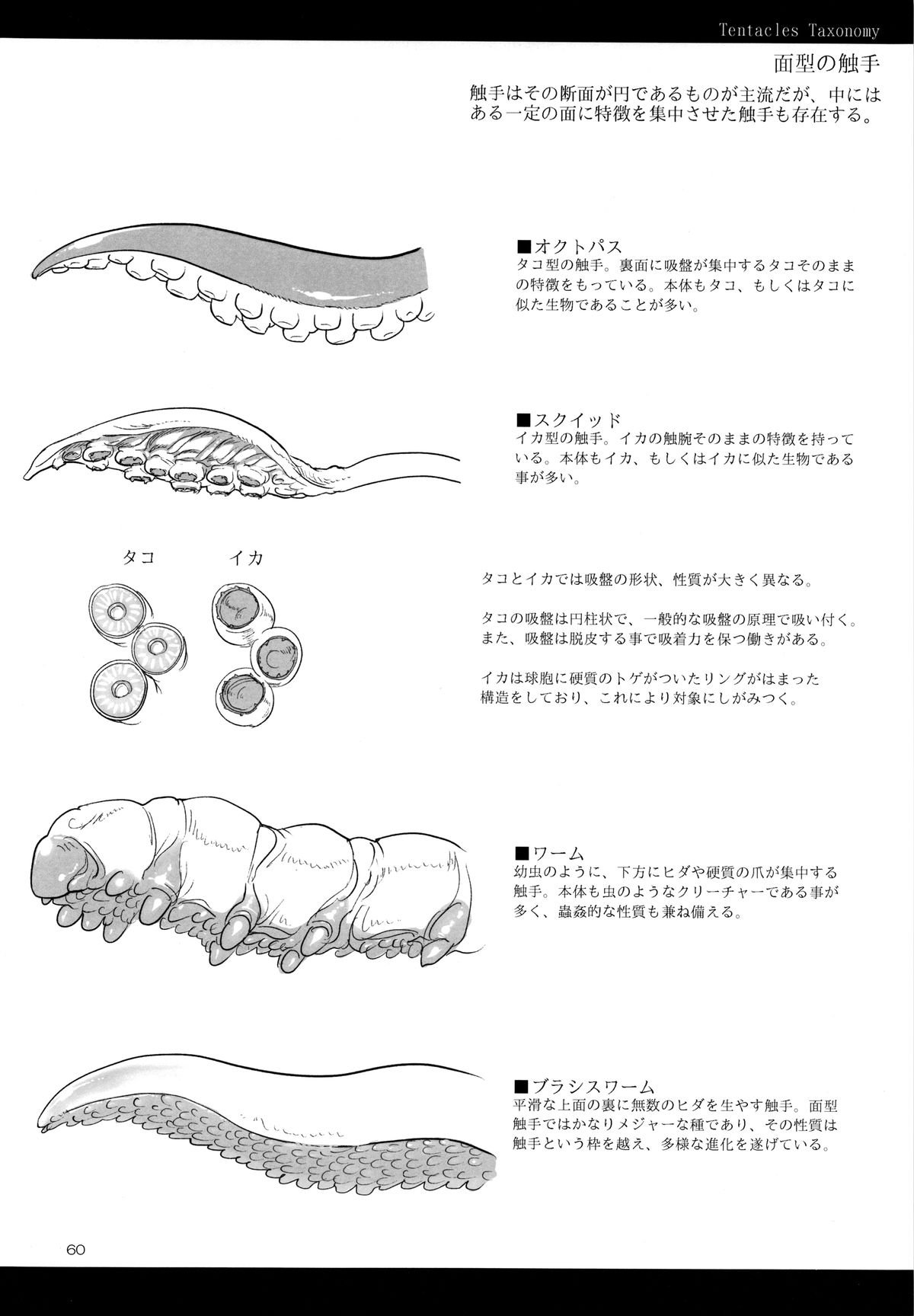 Тентакли текст. Tentacle схема. Тентакли виды. Щупальца референс. Tentacles taxonomy.